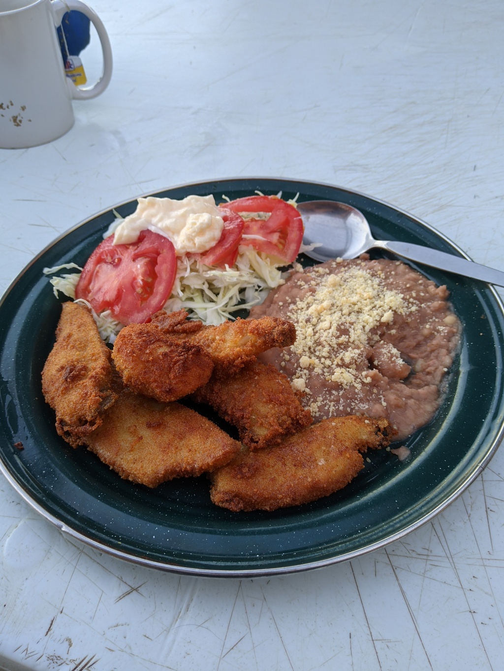 fried abalones