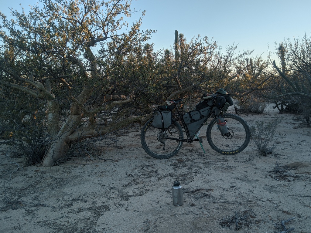 Hardpacked desert floor